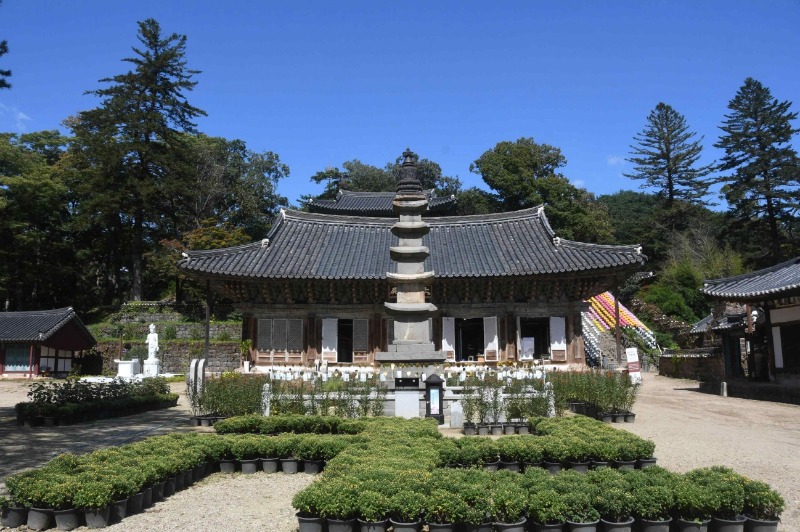1. 공주 마곡사 오층 석탑 전경.jpg